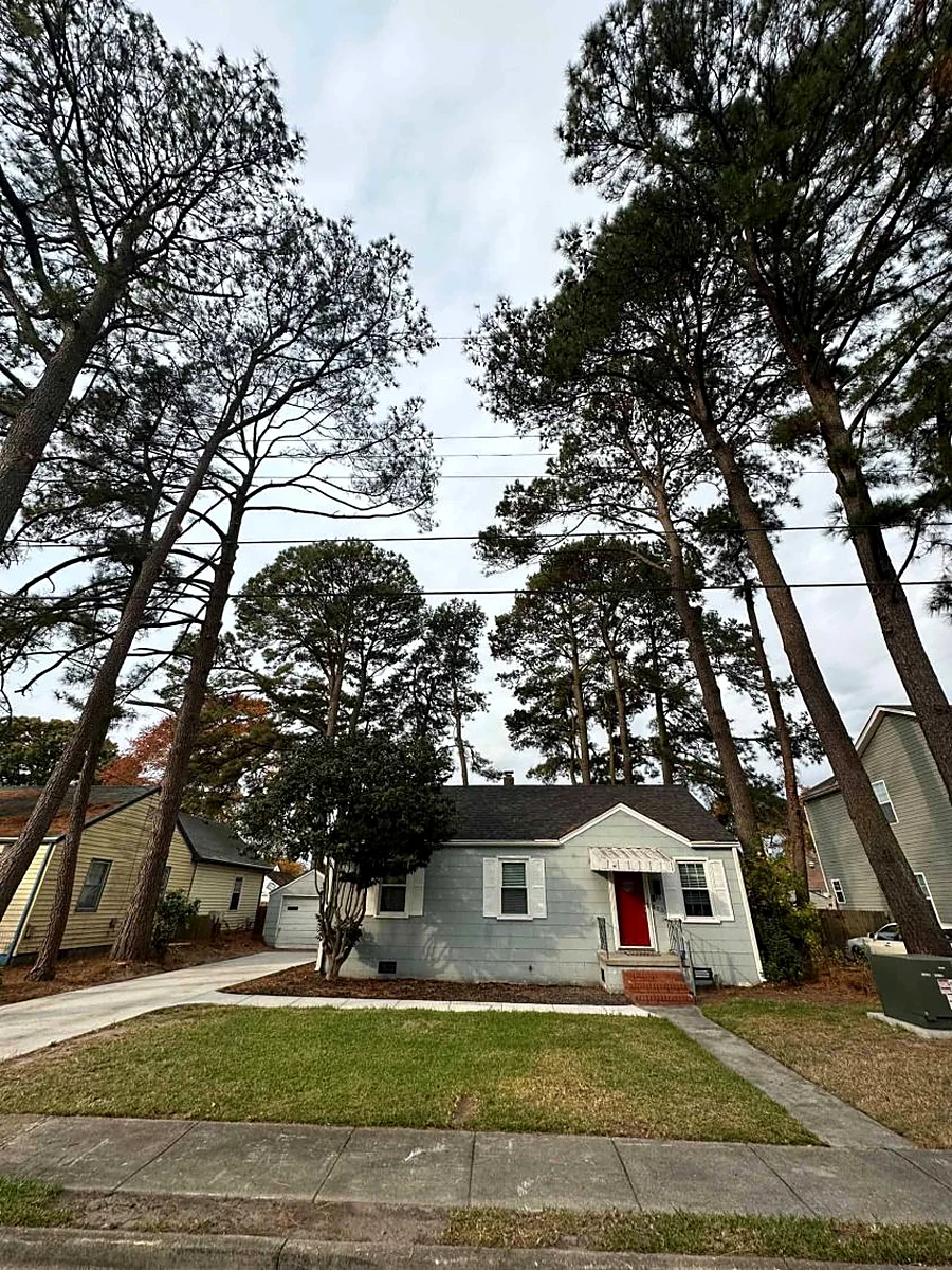 After: the towering pines removed, the house and yard opened up